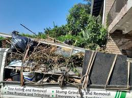 Best Commercial Junk Removal  in La Follette, TN