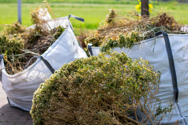 Best Yard Waste Removal  in La Follette, TN